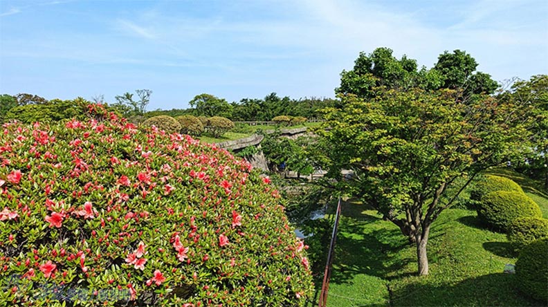 北海道最終章:大沼公園、五稜郭、金森倉庫_img_17