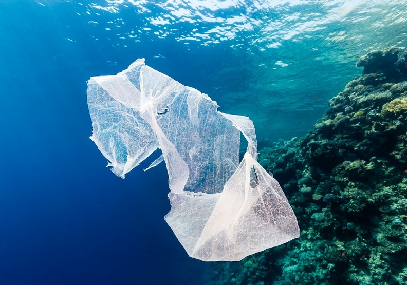 人類很過分!高雄死亡虎鯨胃內有18個塑膠袋_img_2