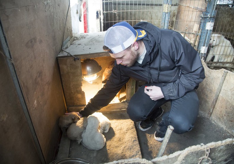 冬奧選手不僅專業,他還解救了韓國狗肉繁殖場的90隻狗狗!_img_1