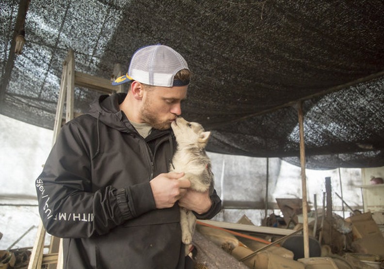 冬奧選手不僅專業,他還解救了韓國狗肉繁殖場的90隻狗狗!_img_2
