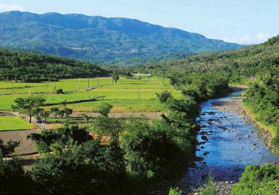 海風鹹鹹醞茶香