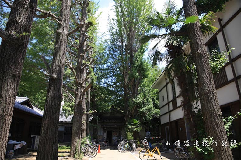 京都吉田寮 百年宿舍敢住嗎?_img_1
