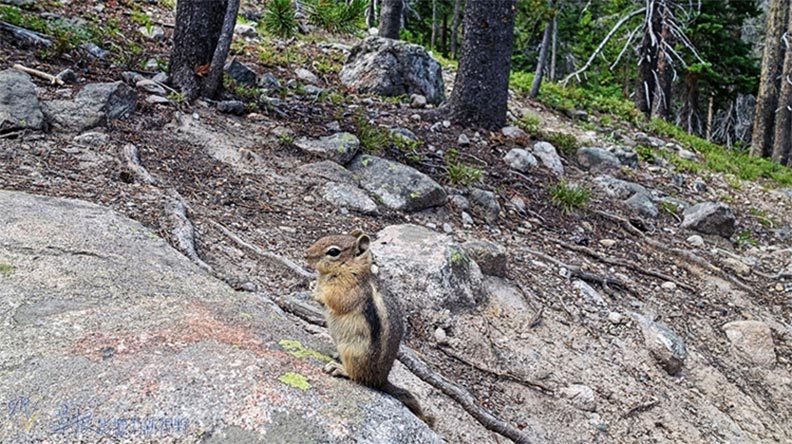 美國洛磯山國家公園山中之湖_img_8