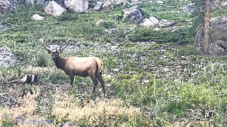 美國洛磯山國家公園山中之湖_img_31