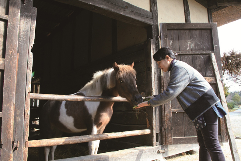 河童、天狗的故鄉 日本妖怪大本營在這_img_1