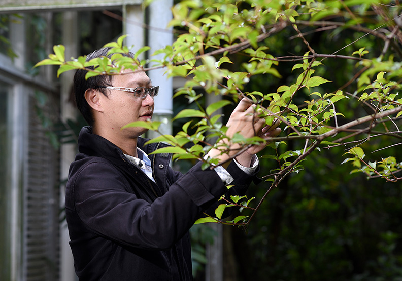 「愛林成痴」王瑞閔為保存珍貴植物,花光百萬積蓄_img_2