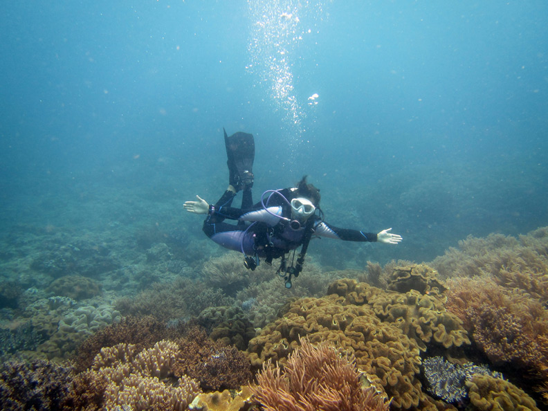 從高跟鞋到蛙鞋_img_3