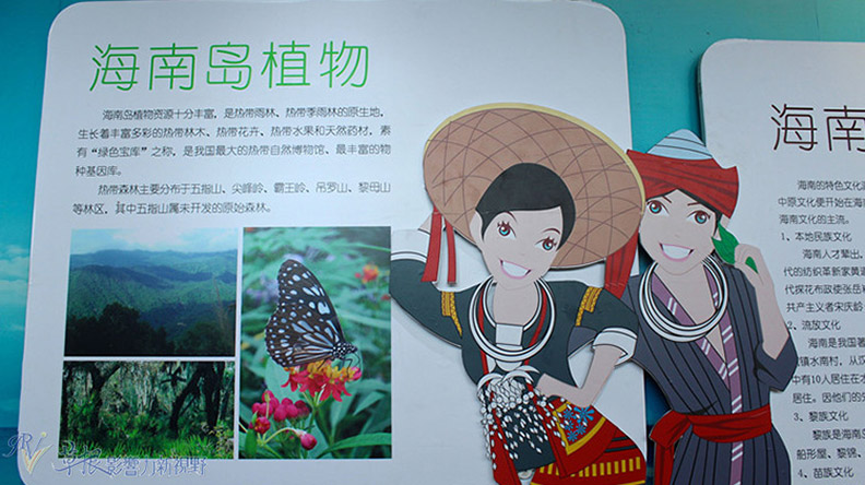 赴一場蘭花之約_img_3