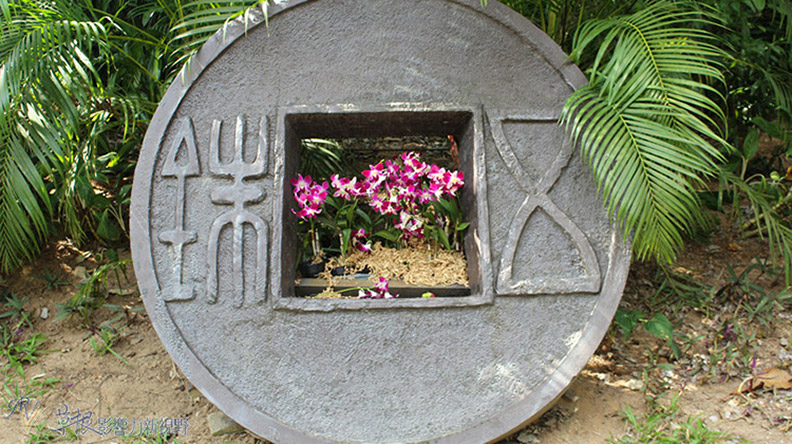 赴一場蘭花之約_img_4