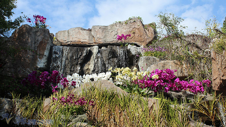 赴一場蘭花之約_img_9