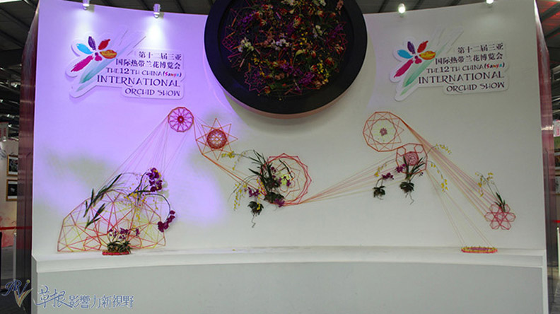 赴一場蘭花之約_img_10