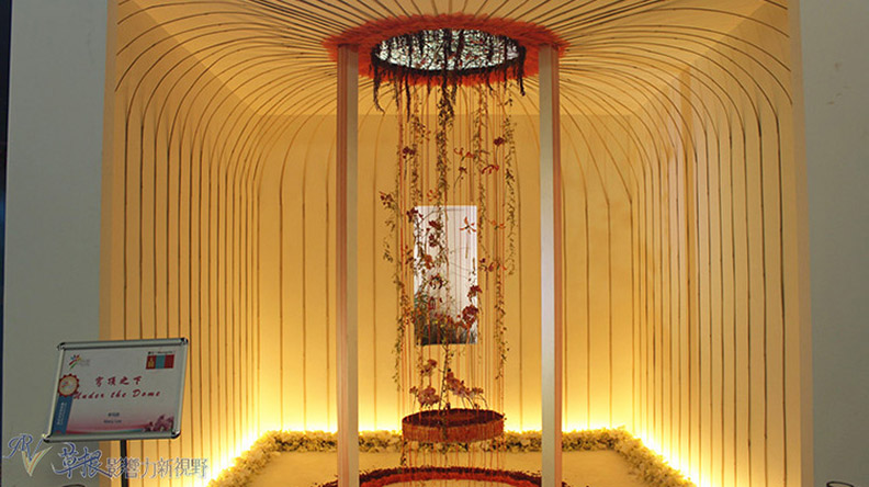 赴一場蘭花之約_img_13