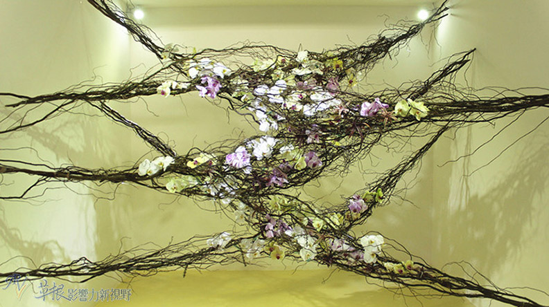 赴一場蘭花之約_img_15