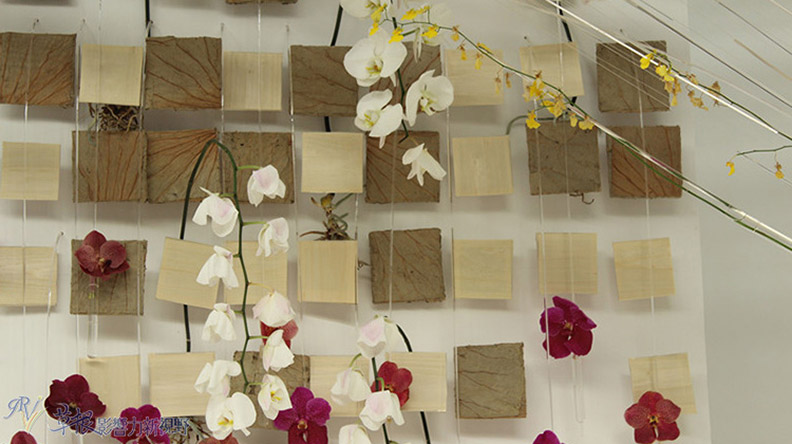 赴一場蘭花之約_img_16