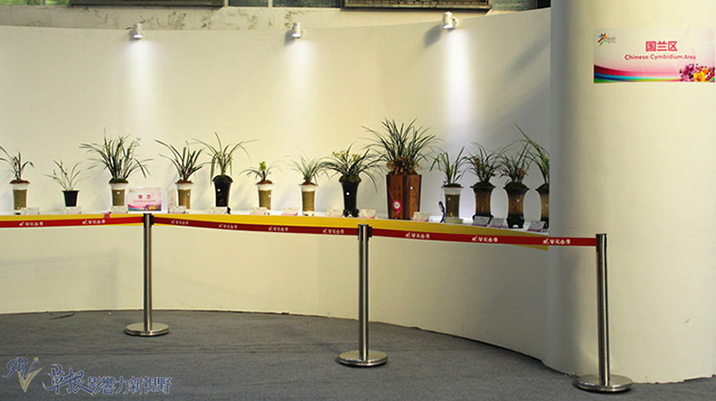 赴一場蘭花之約_img_21