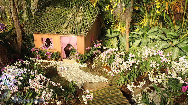 赴一場蘭花之約_img_23