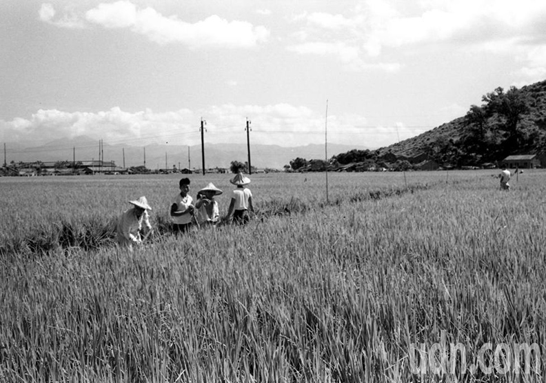 荒地變黃金 原來信義區以前長這樣_img_1