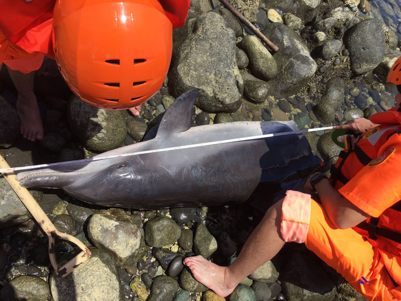 綠獎 總獎金高達三百萬