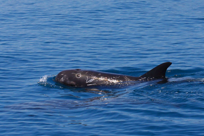 綠獎 總獎金高達三百萬