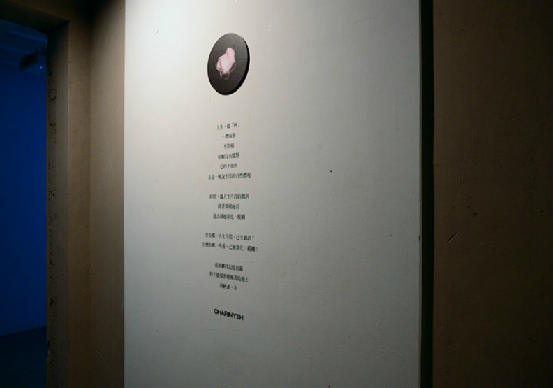 取材台灣精神!Charinyeh 2018春夏演繹耕蚵 國寶級電影看板手繪畫師、新銳攝影師齊助陣!_img_8