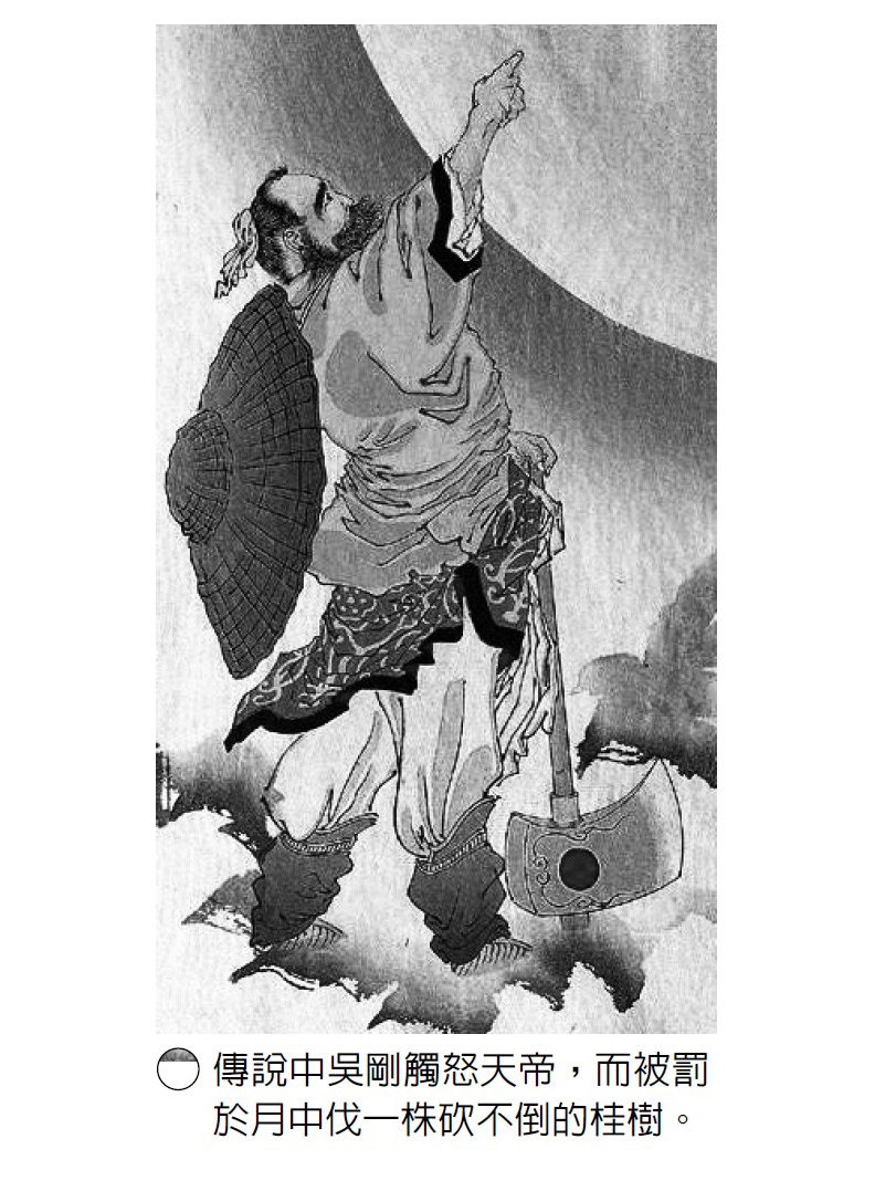 中國神話故事:月桂、玉兔與蟾蜍_img_1