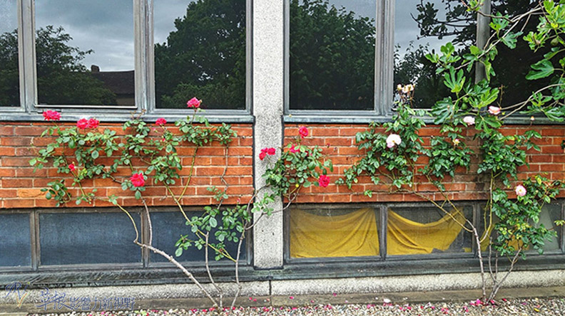 英國的Stratford-Upon-Avon:莎翁的故居_img_14