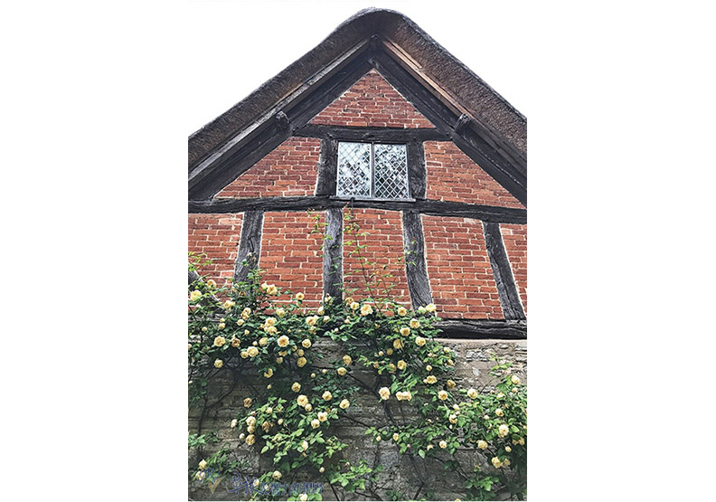 英國的Stratford-Upon-Avon:莎翁的故居_img_29
