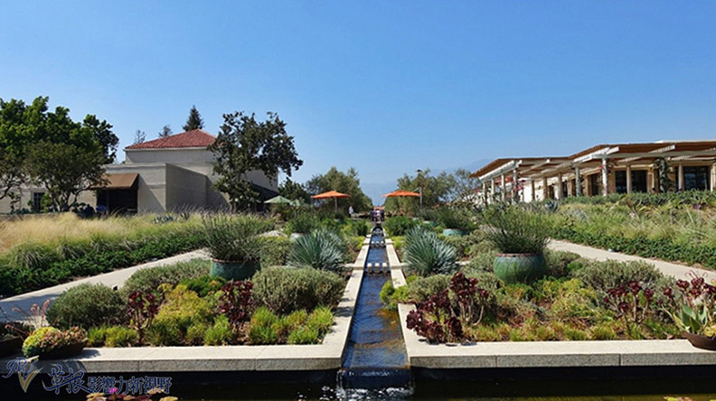 洛杉磯漢庭頓圖書館花園_img_11