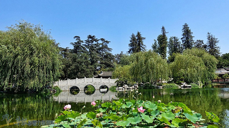 洛杉磯漢庭頓圖書館花園_img_15