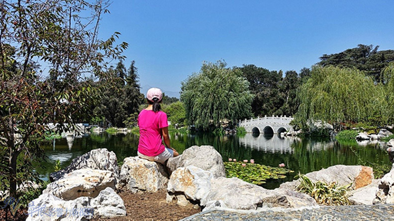 洛杉磯漢庭頓圖書館花園_img_18