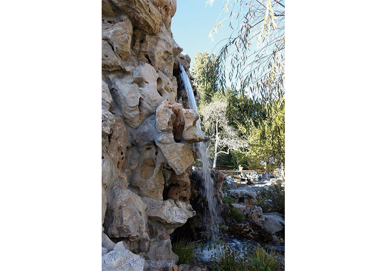 洛杉磯漢庭頓圖書館花園_img_20