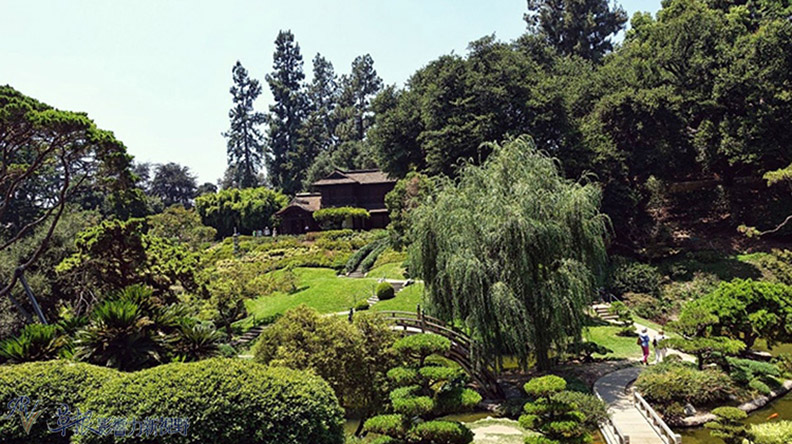 洛杉磯漢庭頓圖書館花園_img_21