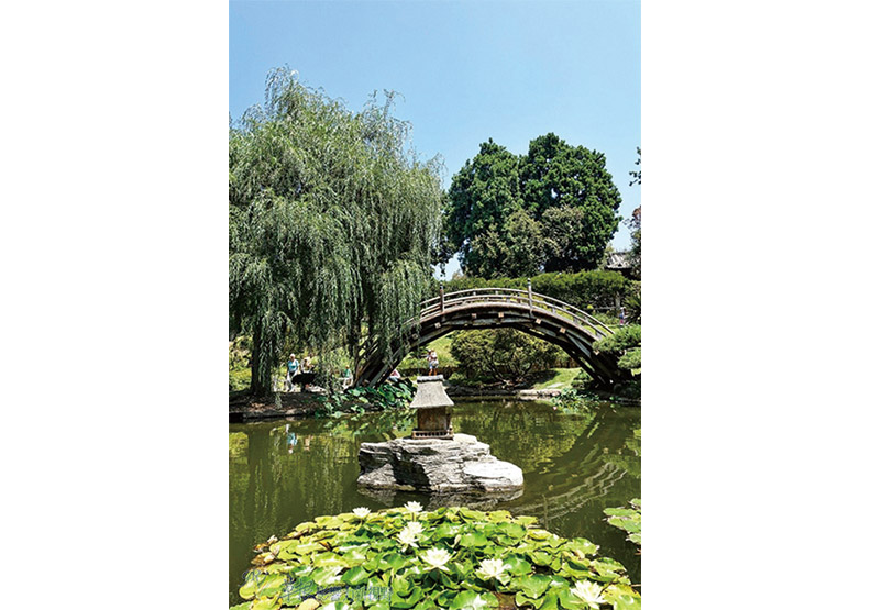 洛杉磯漢庭頓圖書館花園_img_22