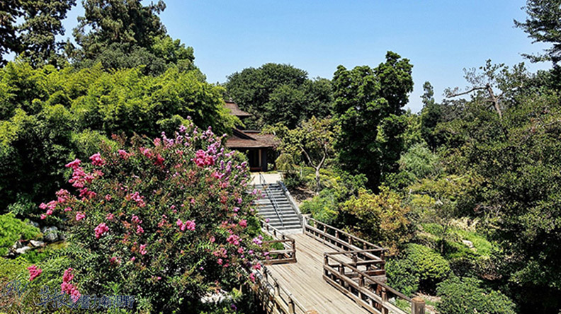 洛杉磯漢庭頓圖書館花園_img_26