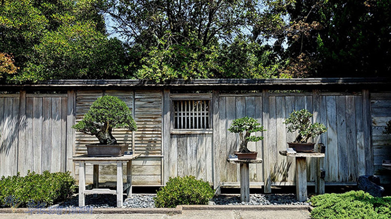 洛杉磯漢庭頓圖書館花園_img_27