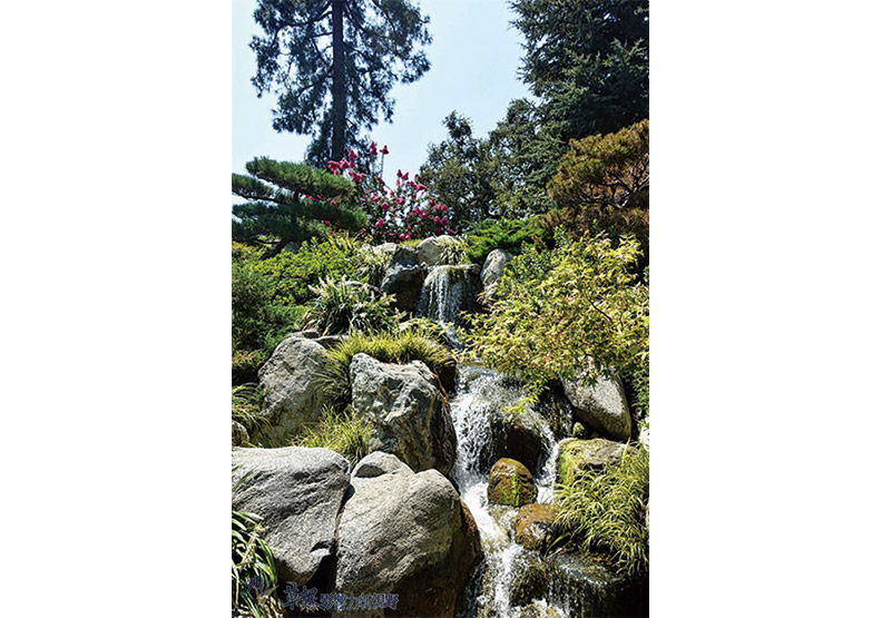 洛杉磯漢庭頓圖書館花園_img_28