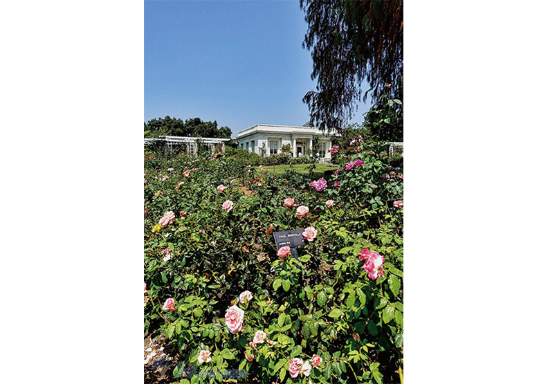 洛杉磯漢庭頓圖書館花園_img_29