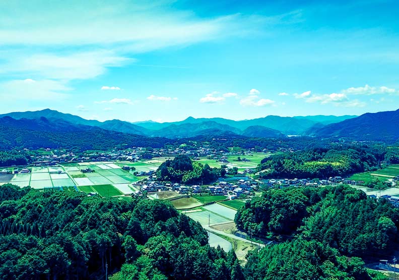 「五個重點」看出地方再生的真正成功案例