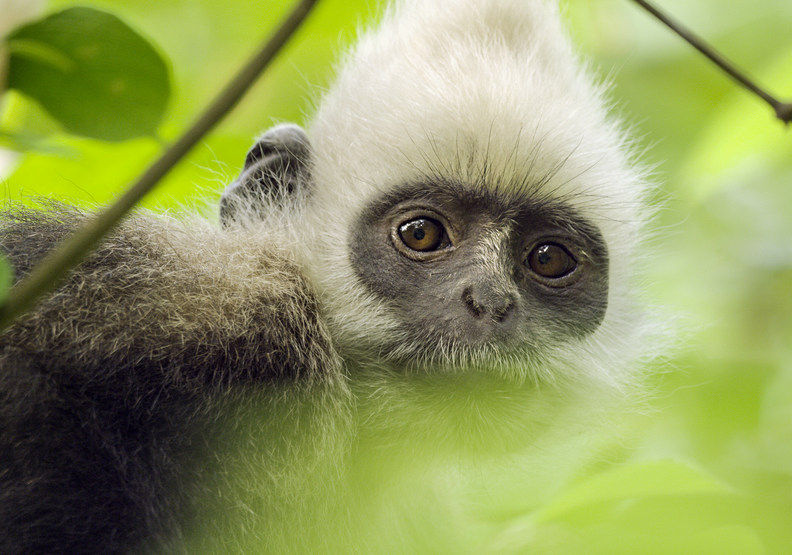 百人耗時3年、走遍22國!金獎團隊記錄下的地球奇蹟_img_4