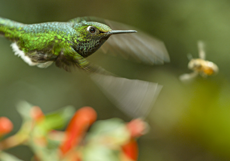 百人耗時3年、走遍22國!金獎團隊記錄下的地球奇蹟_img_1