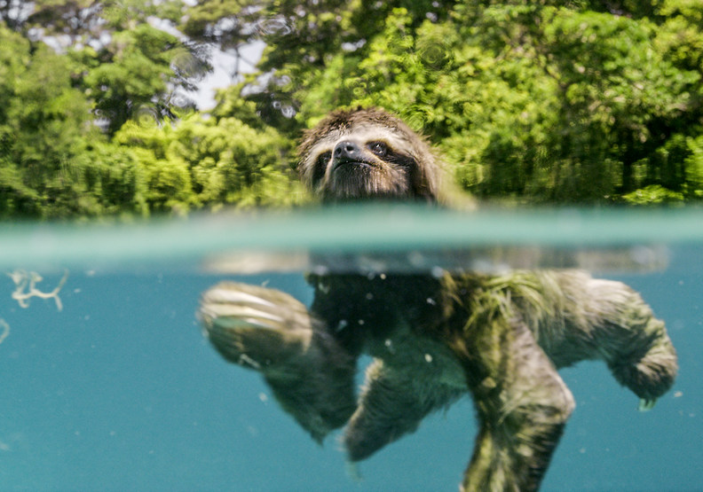 百人耗時3年、走遍22國!金獎團隊記錄下的地球奇蹟_img_2