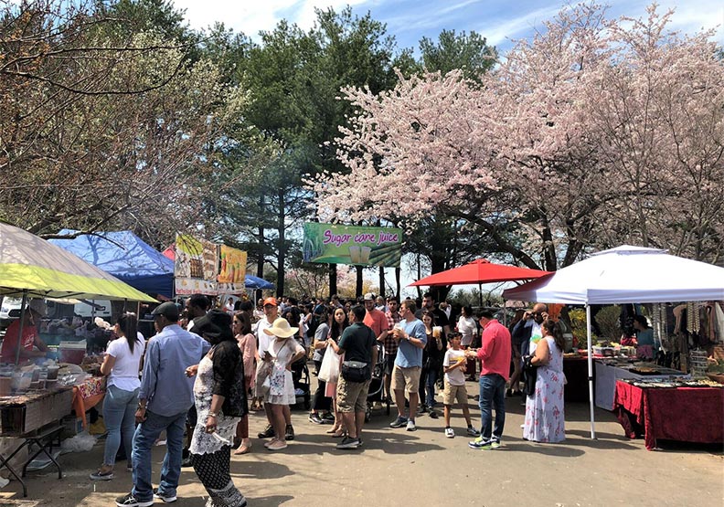 在美國感受柬埔寨新年_img_4