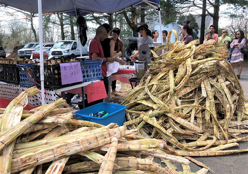 在美國感受柬埔寨新年_img_8