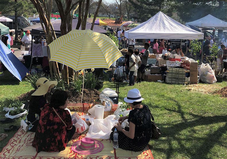 在美國感受柬埔寨新年_img_9