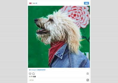 LVMH與Levi’s首季營收成長、迅銷調高財測、精品品牌為何集體棄用皮草