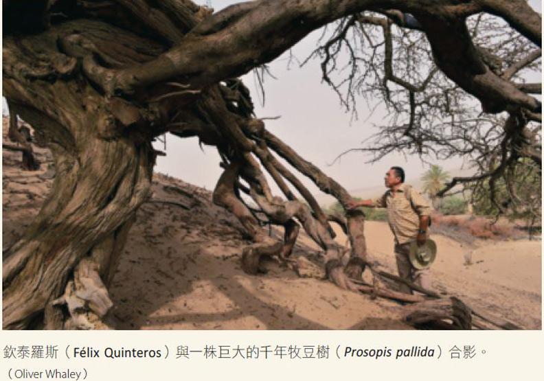 愛樹的傻瓜：是我們讓世界變得艱困