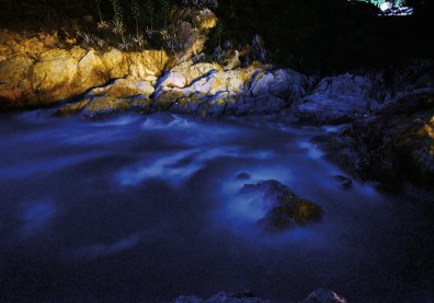 馬祖鐵堡：星空下的藍眼淚