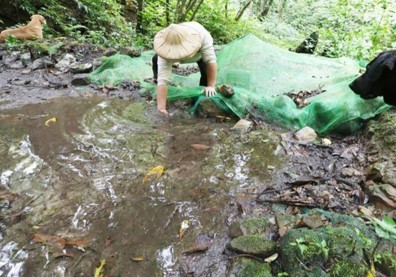 護翡翠水庫30年 8成坪林人沒自來水
