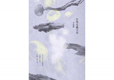 直面尋常之中的懸崖 ——讀言叔夏《白馬走過天亮》