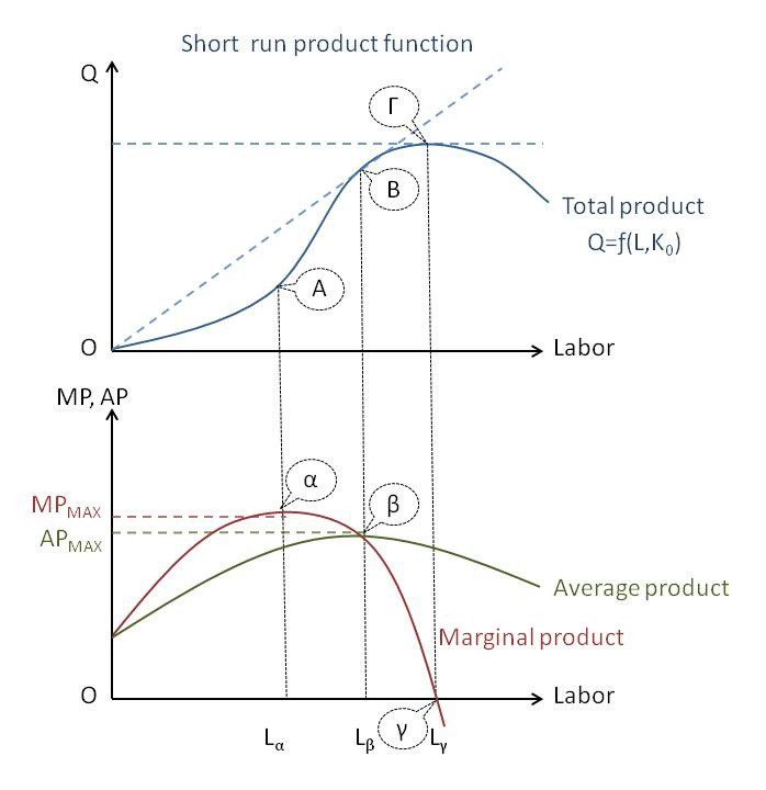 選擇的悖論與吃到飽的相親_img_1